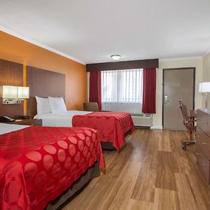 Executive Doppelzimmer