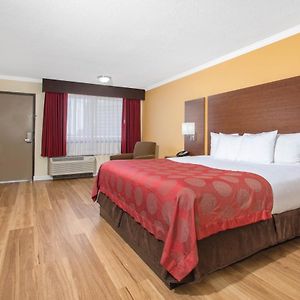 Zimmer mit Zugang für Rollstuhlfahrer mit Kingsize-Bett
